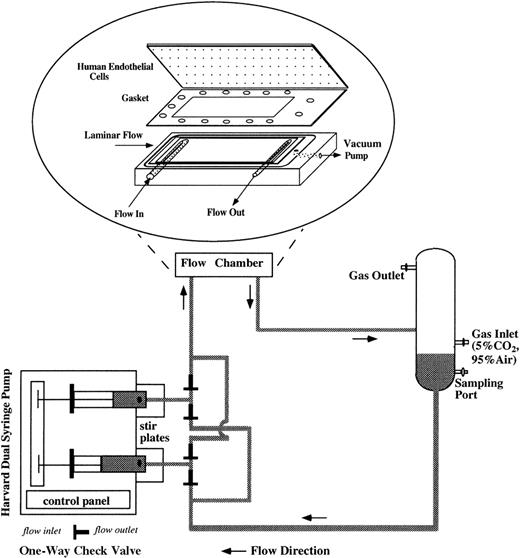 Fig. 1. Schematic of the flow apparatus used for exposing ECs to RBC perfusion. / The endothelial monolayers were mounted in the parallel plate flow chamber by applying vacuum to hold the glass slide, gasket, and polycarbonate base together. RBC suspensions were driven by a reciprocating dual syringe pump, which determined the flow rate. The glass reservoir was connected to a humidified mixture of 95% air and 5% CO2 to maintain the pH levels of the media and also to keep the media oxygenated.