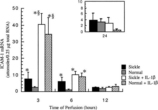 Fig. 4. ICAM-1 mRNA levels in ECs after exposure to different perfusing conditions. / The time course is depicted for ICAM-1 gene expression in HUVECs after exposure to sickle cell perfusion (Sickle), normal RBC perfusion (Normal), sickle cell perfusion with cytokine (Sickle + IL-1β), and normal RBC perfusion with cytokine (Normal + IL-1β). Data are shown as the mean plus or minus SEM, with n = 5-6 for 3 and 6 hours; n = 3-5 (approximately) for 12 and 24 hours.*Indicates significantly different from values in the matched normal RBC perfusion at the same time points (P < .05), and § indicates significantly different from values in the matched sickle RBC perfusion without IL-1β at the same time points (P < .05).