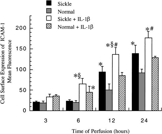 Fig. 5. Membrane-bound ICAM-1 levels in ECs after exposure to different perfusing conditions. / The time course is depicted for the cell surface expression of ICAM-1 in HUVECs after exposure to sickle cell perfusion (Sickle), normal RBC perfusion (Normal), sickle cell perfusion with cytokine (Sickle + IL-1β), and normal RBC perfusion with cytokine (Normal + IL-1β). Data are shown as the mean plus or minus SEM, with n = 6-9 (approximately) at 12 and 24 hours, and n = 3-7 at 3 and 6 hours. *Indicates significantly different from values in the matched normal RBC perfusion at the same time points (P < .05); #indicates significantly different from values in the matched normal RBC perfusion with IL-1β at the same time points (P < .05); and §indicates significantly different from values in the matched sickle RBC perfusion without IL-1β at the same time points (P < .05).