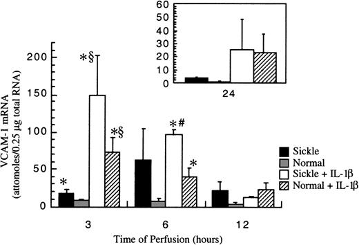 Fig. 7. VCAM-1 mRNA levels in ECs after exposure to different perfusing conditions. / The time course is depicted for VCAM-1 gene expression in HUVECs after exposure to sickle cell perfusion (Sickle), normal RBC perfusion (Normal), sickle cell perfusion with cytokine (Sickle + IL-1β), and normal RBC perfusion with cytokine (Normal + IL-1β). Data are shown as the mean plus or minus SEM, with n = 5-6 (approximately) for 3 and 6 hours, and n = 3-5 for 12 and 24 hours. *Indicates significantly different from values in the matched normal RBC perfusion at the same time points (P < .05); #indicates significantly different from values in the matched normal RBC perfusion with IL-1β at the same time points (P < .05); and §indicates significantly different from values in the matched sickle RBC perfusion without IL-1β at the same time points (P < .05).