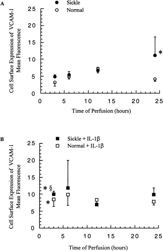 Fig. 8. Membrane-bound VCAM-1 levels in ECs after exposure to different perfusing conditions. / The time course is depicted for the cell surface expression of VCAM-1 in HUVECs after exposure to (A) sickle cell perfusion (Sickle) and normal RBC perfusion (Normal) and (B) sickle cell perfusion with cytokine (Sickle + IL-1β) and normal RBC perfusion with cytokine (Normal + IL-1β). Data are shown as the mean plus or minus SEM, with n = 6-9 (approximately) at 12 and 24 hours, and n = 3-7 at 3 and 6 hours. *Indicates significantly different from values in the matched normal RBC perfusion at the same time points (P < .05), and §indicates significantly different from values in the matched sickle RBC perfusion without IL-1β at the same time points (P < .05).