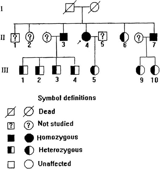 Fig. 1. Pedigree of a Chinese family with type 1 recessive congenital methemoglobinemia.