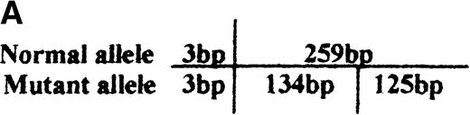 Fig. 4. Identification of the missense mutation in exon 7 of the b5R gene by PCR/restriction analysis. / (A) Diagram of genomic restriction enzyme analysis. The 262-bp genomic fragment of exon 7 was amplified. The mutated allele possesses an additional RsaI site and produces 3 fragments (3 bp, 125 bp, 134 bp) upon digestion. (B) Restriction enzyme analysis. The 262-bp genomic PCR fragments from the propositus, some of her family members, and a normal control were digested with RsaI and electrophoresed on 12% polyacrylamide gel. The 2 visible products of digestion are indicated by arrows. The DNA markers used areBsuRI digests of pBR322 (MBI). N1 and N2 indicate the PCR products of the normal control after and before digestion, respectively.