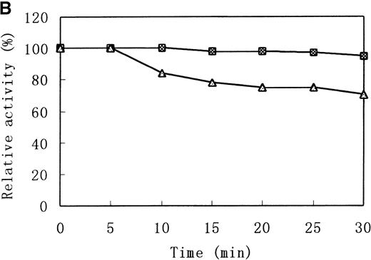 Fig. 7. Heat stability and trypsin susceptibility of the wild-type and mutant b5R. / b5R was diluted to 2 μg/μL with 50 mmol/L Tris-HCl (pH 8.0) containing 1 mmol/L EDTA and 0.1 mmol/L DTT. □, wild type; ▵, mutant. (A) Samples were incubated for 10 minutes at various temperatures. (B) Incubation at 37°C for various times. (C) Incubation for various times at 37°C with 1.5 U/μL trypsin.