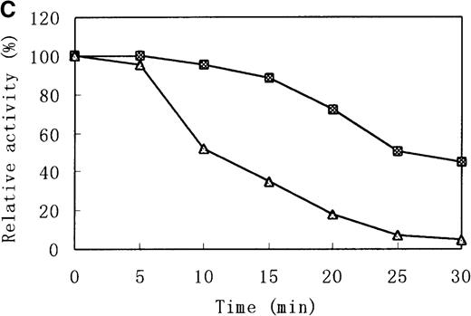 Fig. 7. Heat stability and trypsin susceptibility of the wild-type and mutant b5R. / b5R was diluted to 2 μg/μL with 50 mmol/L Tris-HCl (pH 8.0) containing 1 mmol/L EDTA and 0.1 mmol/L DTT. □, wild type; ▵, mutant. (A) Samples were incubated for 10 minutes at various temperatures. (B) Incubation at 37°C for various times. (C) Incubation for various times at 37°C with 1.5 U/μL trypsin.