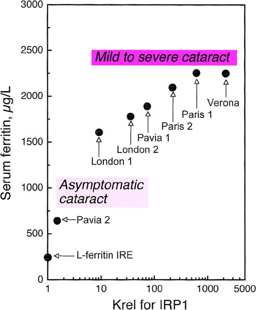 Fig. 5. Correlation of serum ferritin with relative dissociation constants (Krel) of IRP1 complexes with wild-type IRE and IREs containing HHCS mutations. / Serum ferritin levels are maximal values observed in normal individuals and families with HHCS. A significant relationship was found between ferritin levels and dissociation constants: the higher the impairment in IRE-IRP1 binding affinity, the higher the serum ferritin.75 The relationship between degree of hyperferritinemia and severity of cataract75 is illustrated schematically for the reader's convenience. Modified from Allerson et al.75