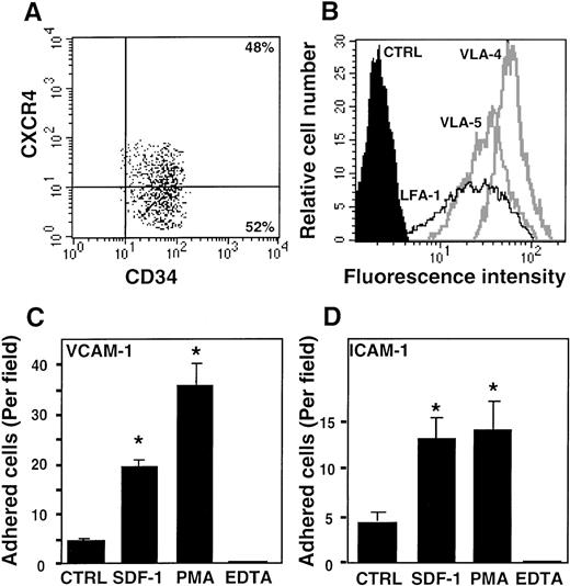 Fig. 1. Results of staining, double-staining, or untreated enriched CD34+ cells. / (A) CXCR4 expression on enriched CD34+ cells stained with antibodies to CD34 FITC and CXCR4 PE. (B) Double-staining of enriched CD34+ cells with PE-labeled antibodies to CXCR4 and FITC-labeled antibodies to each of the major integrins: LFA-1, VLA-4, and VLA-5. CXCR4+ cells within the CD34+population were gated, and the levels of staining for LFA-1, VLA-4, and VLA-5 are shown. The solid histogram indicates negative control staining (CTRL) with isotype control antibody. (C, D) Untreated (CTRL), 100 ng/mL PMA, or EDTA pretreated with cord blood CD34+cells were perfused into a parallel plate flow chamber and allowed to settle for 1 minute at 37°C on substrates coated with (C) VCAM-1 or (D) ICAM-1. SDF-1: Plates were coated with (C) VCAM-1 or (D) ICAM-1 in combination with SDF-1. CTRL: Plates were coated with HSA. The data in (A) and (B) are from a representative experiment. The data in (C) and (D) are the average of 3 experiments plus or minus SE. (*IndicatesP < .05).