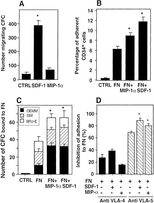 Fig. 3. SDF-1 is a more potent chemoattractant for immature CFCs than MIP-1. / (A) Spontaneous migration of CFCs (CTRL) and migration toward SDF-1 or MIP-1α in a transwell assay. (B) Adhesion of CD34+ cells to BSA (CTRL) or FN- coated wells and FN with SDF-1 or MIP-1α. (C) Quantification of CFC levels in the adherent CD34+ cell populations. (D) Percent inhibition of CD34+ cell adhesion to FN, by antibodies to VLA-4 or VLA-5, in the presence or absence of SDF-1 and MIP-1α. The results shown represent the average of 3 different experiments plus or minus SE. (*Indicates P < .05).
