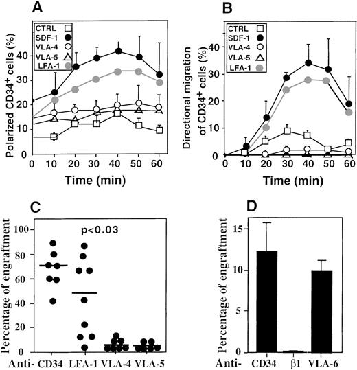 Fig. 4. Dependence of SDF-1–induced polarization and directional migration of CD34+ cells through ECM on VLA-4 and VLA-5. / (A) Polarization and (B) migration of CD34+ cells. The control (□) was done without a gradient of SDF-1; • indicates a gradient of SDF-1. The cells were quantified in 3-D ECM-like gels without or with the following: anti–VLA-4 mAb (○), anti–LFA-1 mAb (◍), or anti–VLA-5 mAb (▵). The average of 3 different experiments plus or minus SD are shown. (C, D) Contribution of β1 and β2 integrins to the engraftment of CD34+cells in NOD/SCID mice. Percent engraftment in the murine bone marrow by cord blood CD34+ cells pretreated with antibodies to either LFA-1, VLA-4, VLA-5, β1, VLA-6, or CD34, quantified after (C) 6 weeks or (D) 4 weeks by immunostaining with antihuman CD45 mAb. (C) Each point represents 1 mouse. (D) Results were pooled from 3 different experiments.
