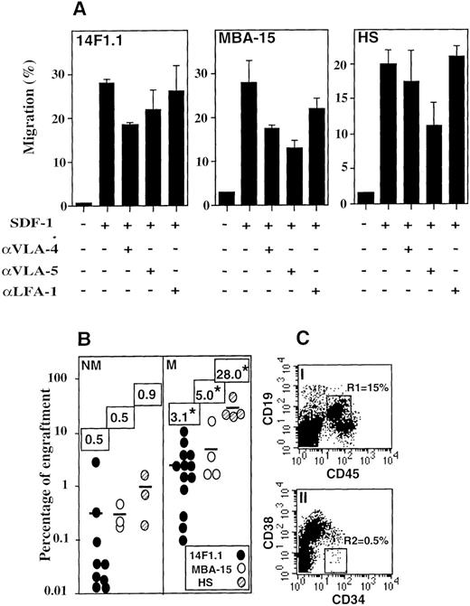 Fig. 5. SDF-1–induced transstromal migration of human SRCs. / (A) Migration of CD34+ cells across murine bone marrow–derived adipocyte 14F1.1 and MBA-15 stromal cells and primary human stroma (HS) cells toward SDF-1 is dependent on VLA-4 and VLA-5 but not on LFA-1. (B) Percent engraftment in the murine bone marrow by nonmigrating (NM) and migrating (M) cells, quantified 1 month after transplantation by FACS analysis using antibodies to human CD45. Each dot represents 1 mouse, and bars and numbers indicate the average time of engraftment. (*Indicates P < .05.) (C) Phenotype analysis of engrafted human cells in mice transplanted with transstromal migrating (M) cells. Lymphoid CD45+/CD19+ pre–B cells (EI, R1), as well as primitive CD34+/CD38−/low cells (EII, R2), are shown.