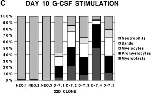 Fig. 2. Differential counts of 32Dcl3 cell clones over time during G-CSF stimulation. / Clones NEO.1-NEO.3 and D-7.1-D-7.5 were stimulated with G-CSF 100 ng/mL and differential counts performed on Wright-Geimsa stained samples at day 5 (A), day 7 (B), and day 10 (C) of culture.