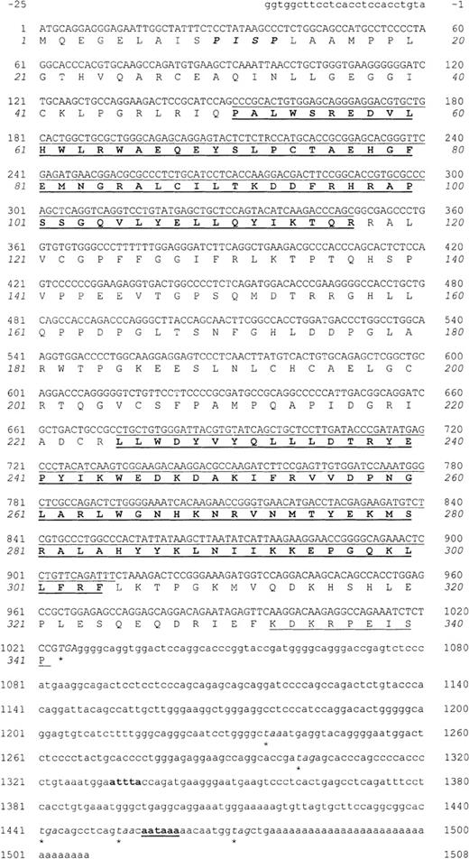 Fig. 1. Nucleotide sequence and predicted amino acid sequence ofTEL2. / Nucleotides are numbered beginning with +1 at the ATG start codon. Numbering of the aa sequence is italicized. A putative MAPK phosphorylation site (aa 10-13) is in bold type and italicized. Both the nucleotide and aa sequences of the PNT (aa 51-117) and ETS (aa 225-304) domains are in bold type and underlined. The last 10 aa of TEL2, used as a KLH-conjugated peptide for antibody production, are underlined. The stop codon used and additional in-frame stop codons in the 3′ UTR are italicized and marked with an asterisk. Within the 3′ UTR, an attta motif, associated with mRNA turnover, is in bold type and the putative polyadenylation signal, aataaa, is in bold type and underlined. This sequence has been assigned the GenBank accession number AF175387.