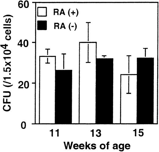 Fig. 5. Colony formation efficiency in RA+ and RA− bone marrow. / Bone marrow cells from RA+ or RA− mice aged 11, 13, and 15 weeks were cultured in the methylcellulose-based colony formation media for 10 days. The values represent the average colony-forming units obtained from 3 mice ± SD.