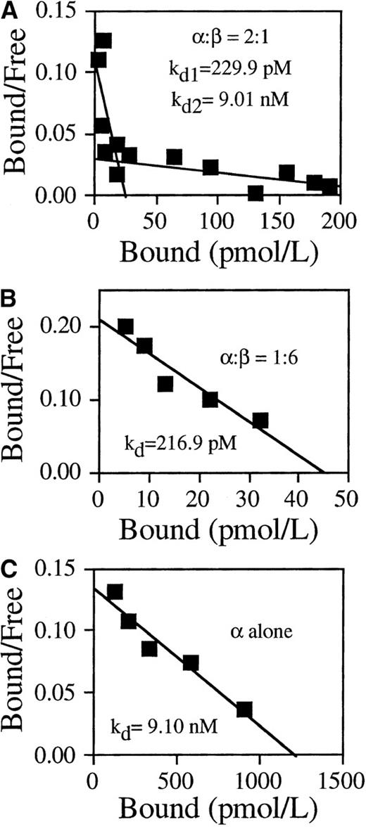 Fig. 3. GM-CSF binding activity of wild-type receptors. / The COS cells were either transfected with GMRα alone or cotransfected with plasmids encoding GMRα and plasmids encoding GMRβ at the indicated ratios. 125I-labeled GM-CSF binding of the transfected cells was determined at 48 hours after transfection by Scatchard analysis. (A) α/β = 2:1, high-affinity kd = 229.9 pmol/L, low-affinity kd = 9.01nmol/L. (B) α/β = 1:6, kd = 216.9 pmol/L. (C) GMRα alone, kd = 9.10 nmol/L.