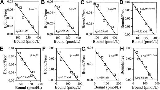 Fig. 4. N-glycosylation site mutations in the extracellular domain of GMRβ prevent high-affinity GM-CSF binding in transfected COS cells. / The COS cells were cotransfected with plasmids encoding wild-type GMRα and plasmids encoding mutated GMRβ at a ratio α/β = 1:6. Representative Scatchard analyses of GM-CSF binding data obtained from cotransfected cells are shown. (A) GMRβ-Ala58, kd = 4.31nmol/L. (B) GMRβ-Ala191, kd = 5.92 nmol/L. (C) GMRβ-Ala346, kd = 6.33 nmol/L. (D) GMRβ-Ala58/191/346, kd = 9.52 nmol/L. (E) GMRβ-Asp58, kd = 5.75 nmol/L. (F) GMRβ-Asp191, kd = 6.62 nmol/L. (G) GMRβ-Asp346, kd = 10.10 nmol/L. (H) GMRβ-Asp58/191/346, kd = 5.68 nmol/L.