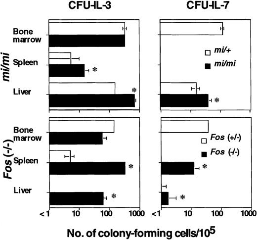 Fig. 1. Extramedullary hematopoiesis in 8-week-old mi/miand Fos (−/−) mice. / The numbers of colony-forming cells elicited by 100 U/mL IL-3 or 20 U/mL IL-7 per 105 cells from bone marrow, spleen, liver, thymus, peripheral lymph nodes (cervical, axillary, and inguinal), mesenteric lymph nodes, Peyer patches, and peritoneal cavity were measured. Cells from tissues other than bone marrow, spleen, and liver did not form any colonies (< 1/105). Data are expressed as the mean ± SD of triplicate cultures. *Values of osteopetrotic mice that are significantly different from those of the corresponding normal littermates (P < .05).