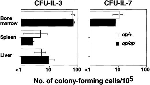 Fig. 2. Bone marrow from aged op/op mice in which osteopetrosis was spontaneously cured produced CFU–IL-7. / The numbers of CFU–IL-3 and CFU–IL-7 in 30-week-old op/ophomozygous and heterozygous littermates were examined. Data are expressed as the mean ± SD of triplicate cultures.