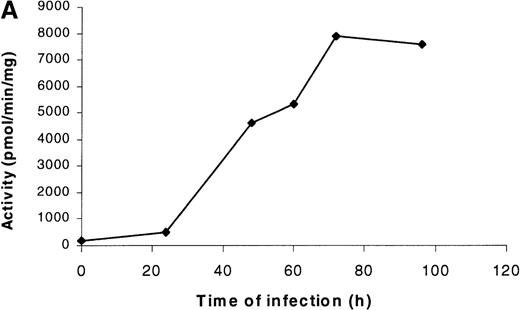 Fig. 1. Time course of expression of recombinant PDE3A in Sf9 cells. / (A) At each time point, cells were collected, counted, and lysed, and the enzymatic activity and total protein were measured as described in “Materials and methods.” The left lane contains the molecular weight standards. (B) At each time point, 10 μg protein was applied to a 10% SDS gel, transferred electrophoretically, and analyzed by Western blotting as described in “Materials and methods.”