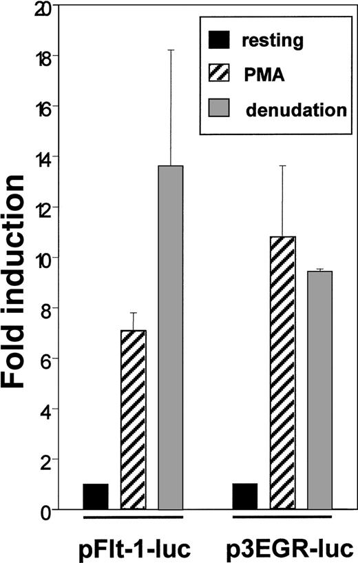 Fig. 3. Endothelial denudation and PMA enhance flt-1promoter-dependent transcription. / HUVEC were transiently transfected with the flt-1 (−1195 to +284) promoter luciferase construct pFlt-1–luc or the luciferase reporter plasmid containing 3 consensus binding sites for Egr-1 p3EGR–Luc. Cell monolayers were mechanically denuded or treated with PMA (50 ng/mL) for 8 hours. Luciferase activities were normalized for transfection efficiency to the renilla luciferase activities. Data shown are means ± SE of 3 independent experiments with 3 independent wells in each.