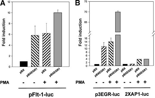 Fig. 6. Cotransfection with an EGR-1 expression vector leads to a specific activation of the flt-1 promoter. / HUVEC were transiently cotransfected with pFlt-1–Luc in (A), p3EGR–Luc (both described in Figure 3) or the AP-1–dependent transcription reporter plasmid 2XAP-1–Luc in (B), together with an Egr-1 expression vector driven by the SV40 promoter (pBXEGR-1) or the empty vector (pBX). When indicated, cells were treated with PMA 50 ng/mL for 8 hours before measuring luciferase activity. The number of experiments, normalization, and statistics are similar to those in Figure 3.