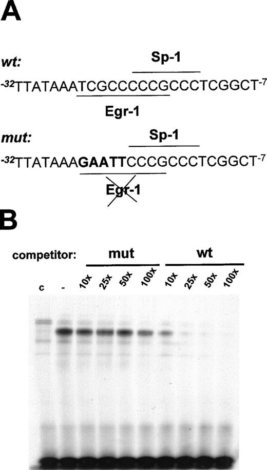 Fig. 7. Mutation of the EGR-1 binding site at −24 to −16 bp in the flt-1 promoter. / (A) Schematic representation of the mutation of the Egr-1 binding site; mutated base pairs are represented in bold characters. (B) Electrophoretic mobility shift assays were performed using conditions similar to those in Figure 5A but competing with the indicated molar excess of the mutated probe (mut) or the wild-type probe (wt), both represented in (A). C, nuclear extract from control cells. Similar results were obtained in 2 independent experiments.