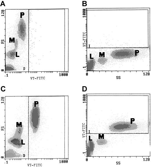 Fig. 1. Binding of VT-FITC to PMNs in whole blood was demonstrated by flow cytometric analysis. / (A, B) Flow cytometric analysis of control blood (incubated with IgG-FITC alone) before addition of VT-FITC. (C, D) Analysis after 20-minute incubation with 0.5 μL VT-FITC (1 mg/mL) exclusive binding to PMNs was found. L indicates lymphocytes; M, monocytes; P, PMNs. The experiment is representative for duplicate determinations in 10 experiments with blood of different donors.