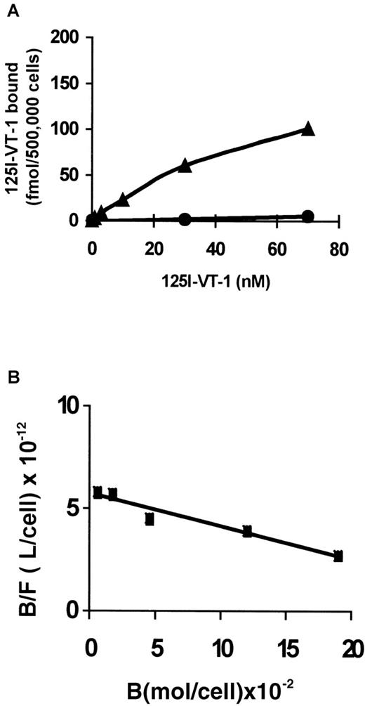 Fig. 3. PMNs of 2 different donors were used to determine binding of 125I-VT-1 to PMNs. / (A) PMNs were incubated with increasing concentrations of125I-VT-1 (0.3 to 70 nmol/L) at 4°C for 3 hours (▴). Nonspecific binding (•) was determined in the presence of 25-fold excess of unlabeled VT-1. (B) Shows the result of Scatchard plot analysis.