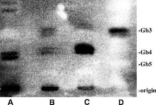 Fig. 4. 125I-VT-1 binding to neutral glycolipid extracts from human PMNs, GMVECs, and monocytes. / Glycolipids were extracted and separated as described in “Materials and methods.” Binding of 125I-VT-1 was visualized, using a phosphor-imager. (A) Glycolipid extract of 30 million PMNs of 1 representative donor. (B) Neutral glycolipid extraction of TNF-α–treated GMVECs. (C) Glycolipid extract of monocytes stimulated with LPS (1 ng/mL). (D) Standard mixture of neutral glycolipids, 2 μg of each glycolipid. Standard of neutral glycolipids was stained with orcinol. (Gb3, globotriaosylceramide; Gb4, globotetraosylceramide; and Gb5, Forssman pentasaccharide).