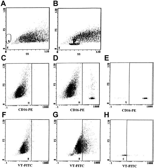 Fig. 5. The transfer of VT-1-FITC bound to PMNs to human GMVECs was studied by flow cytometry. / Panels A, C, and F: FACS analysis of nonstimulated GMVECs incubated for 4 hours with PMNs loaded with VT-FITC on ice. (A) Forward scatter and side scatter of nonstimulated GMVECs are shown. (C) No positive staining for CD16-PE was observed, indicating that all PMNs were removed by washing the monolayers. (F) Nonstimulated GMVECs did not bind any VT-FITC after incubation with VT-FITC–loaded PMNs. Panels B, D, E, G, and H: TNF-α–stimulated GMVECs retained 2.8%-3.6% of PMNs (present in the gated area P in panel B) after 4 hours of incubation and washing of the monolayers. (D, E) PMNs were distinguished from GMVEC using CD16-PE; panel D represents all cells, whereas panel E reflects the gated area. (G) TNF-α–treated GMVECs incubated with VT-FITC-loaded PMNs were able to bind 30%-50% of VT-FITC after the incubation period of 4 hours (all cells minus the gated area P). (H) PMNs showed no positive staining for VT-FITC, indicating that ligand passing of VT-FITC from PMNs to GMVECs had occurred.