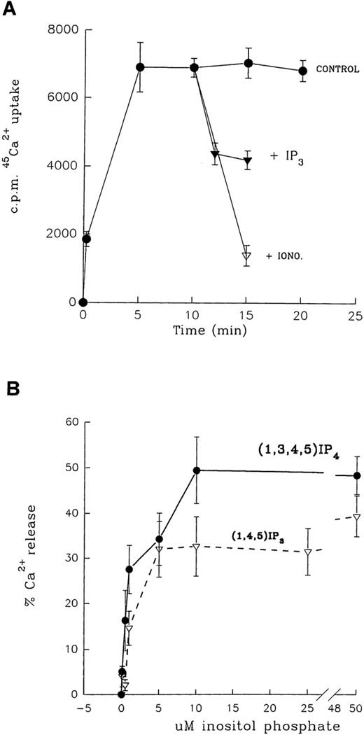 Fig. 5. Inositol phosphate-mediated Ca++ flux activity in platelet PM. / (A) Na+/Ca++ exchange activity of PM and inositol phosphate-mediated Ca++ flux. The illustration shows kinetics of Na+/Ca++ exchange and addition of either 10 μmol/L ionomycin (iono) or 50 μmol/L1,4,5IP3 (IP3) at 10 minutes. All points are mean ± SEM of triplicate determinations, with similar results obtained in at least 2 other membrane preparations. (B) Dose–response relationship of 1,3,4,5IP4 (•) and 1,4,5IP3 (▿) induced Ca++flux in plasma membranes.