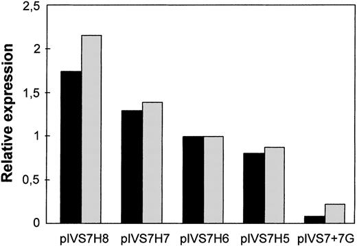 Fig. 4. Relative expression at the mRNA level of the differentIVS7 allelic forms. / Cotransfections with pIVS7 + 5A and investigated constructs at concentration ratios of 1:0.1 (black columns) and 1:0.15 (gray columns) were carried out.