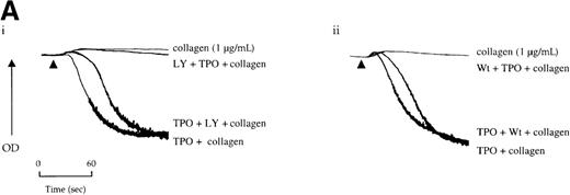 Fig. 5. Priming of platelet responses to collagen by TPO is mediated through PI 3-kinase. / (A) Platelets were preincubated with (i) 50 μmol/L LY294002 (LY) or (ii) 100 nmol/L wortmannin (Wt) given either 3 minutes before or 2 minutes after TPO (50 ng/mL). In both sets of experimental paradigms, platelets were left for 5 minutes after the addition of TPO before stimulation by collagen (1 μg/mL). (B) Platelets were preincubated 3 minutes with TPO (100 ng/mL) and/or apyrase (1 U/mL) as indicated and then stimulated by collagen. Results are shown from 1 experiment that is representative of at least 5.