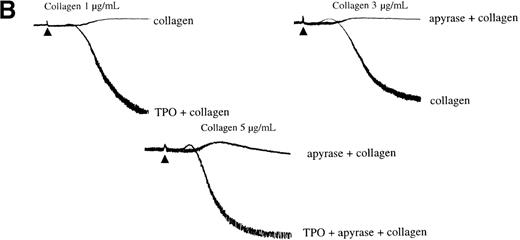 Fig. 5. Priming of platelet responses to collagen by TPO is mediated through PI 3-kinase. / (A) Platelets were preincubated with (i) 50 μmol/L LY294002 (LY) or (ii) 100 nmol/L wortmannin (Wt) given either 3 minutes before or 2 minutes after TPO (50 ng/mL). In both sets of experimental paradigms, platelets were left for 5 minutes after the addition of TPO before stimulation by collagen (1 μg/mL). (B) Platelets were preincubated 3 minutes with TPO (100 ng/mL) and/or apyrase (1 U/mL) as indicated and then stimulated by collagen. Results are shown from 1 experiment that is representative of at least 5.