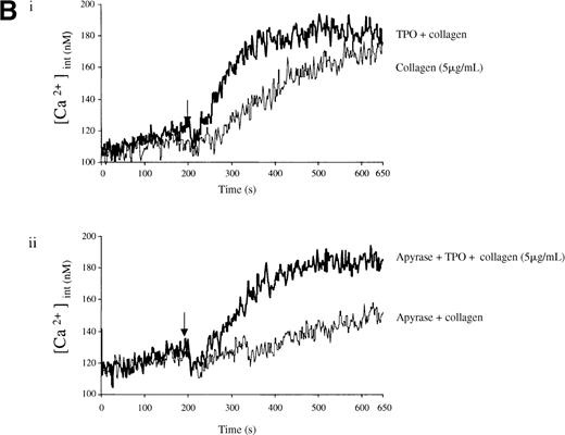 Fig. 6. Priming of platelet responses to collagen by TPO is accompanied by a PI 3-kinase–dependent Ca++ increase. / Fura-2–loaded platelets (108/mL) were stimulated in a plastic cuvette with stirring at 37°C in the presence of 1 mmol/L extracellular Ca++. Fluorescence emission was recorded at 510 nm for an excitation ratio 340/380 nm. In (A) experiments were performed as follows: (i) collagen (2 μg/mL) or TPO (100 ng/mL) for 3 minutes and then collagen (2 μg/mL); (ii) wortmannin (Wt) (100 nmol/L) for 3 minutes, followed by TPO for 3 minutes and then collagen (2 μg/mL), or TPO (100 ng/mL) for 3 minutes, followed by Wt (100 nmol/L) for 3 minutes and then collagen (2 μg/mL). In (B) experiments were performed as follows: (i) collagen (5 μg/mL), or TPO (100 ng/mL) for 3 minutes, followed by collagen (5 μg/mL); (ii) same as (i) but in the presence of apyrase (1 U/mL). The addition of collagen is indicated by an arrow. Results are from 1 experiment made in triplicate representative of 4.
