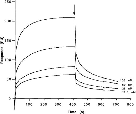 Fig. 4. Determination of kinetic parameters of the binding of affinity-purified anti-FVIII IgG from IVIg to the C2 fragment of FVIII. / F(ab′)2 fragments of anti-FVIII IgG were covalently coupled to the sensor chip. Real-time binding was studied for C2 in HBS-CaCl2 at the concentrations indicated. At the time indicated by the arrow, the ligand solution was replaced by HBS-CaCl2 alone, and dissociation curves were recorded. Ordinate represents the binding response as measured by resonance units (RU).