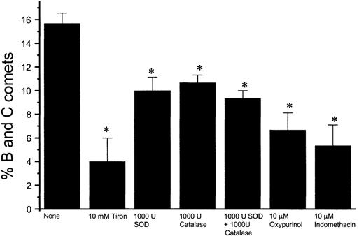 Fig. 9. Effect of antioxidants on NO-induced HEL cell apoptosis. / Percentage of B and C COMET achieved by exposure to NO produced in co-culture by fibroblasts in which iNOS had been induced in the presence of various superoxide inhibitors, including superoxide dismutase (SOD), catalase, oxypurinol, indomethacin, and Tiron (*P < .02).