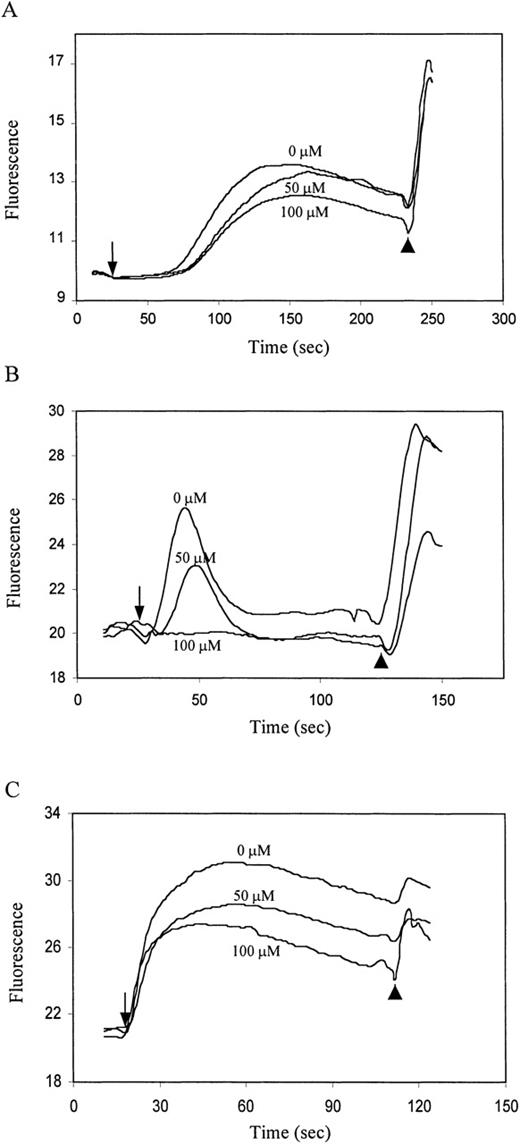 Fig. 6. HCQ inhibits antigen-receptor–dependent intracellular calcium mobilization and alters the size of intracellular calcium stores. / Jurkat T cells or Ramos B cells were pretreated with varying concentrations of HCQ for 24 hours and then loaded with the calcium-sensitive dye calcium green-1. Changes in intracellular Ca++ concentration (fluorescence) versus time (seconds) were monitored by bulk spectrofluorometry. (A) Jurkat T cells were activated with the clonotypic anti-TCR mAb C305 (as indicated by the arrow) followed by addition of 1 μmol/L ionomycin (arrowhead). (B) Ramos B cells were activated by IgM crosslinking (arrow) followed by the addition of 1 μmol/L ionomycin (arrowhead). (C) Jurkat cells were stimulated with 1 μmol/L thapsigargin, as indicated by arrow, in the presence of 1.8 mmol/L EGTA. Residual calcium response was evaluated by addition of 1 μmol/L ionomycin (arrowhead). Results are representative of more than 5 separate experiments.
