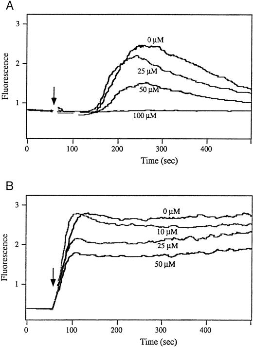 Fig. 7. HCQ inhibits intracellular calcium mobilization in primary T cells. / Peripheral blood T cells from healthy volunteers were pretreated with varying concentrations of HCQ for 18 hours and were then loaded with calcium-sensitive dyes calcium green-1 and fura-red. Cells were stimulated, as indicated by arrow, with (A) biotinylated OKT3 (40 μg/mL) plus avidin (10 μg/mL) or (B) 1 μmol/L ionomycin. Changes in intracellular Ca++ concentration (fluorescence) versus time (seconds) were monitored by fluorescence-activated cell sorter, and results are representative of 3 separate experiments.