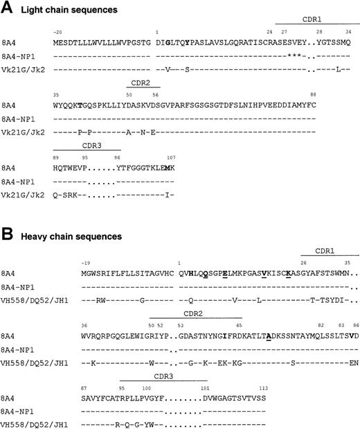 Fig. 6. Variable region sequences. / Alignment of the primary sequences of 8A4 and 8A4-NP1 proteins with the germinally encoded VH558/DQ52/JH1 and Vκ21G/Jκ2 sequences. Dashes indicate identities. Residues potentially involved in cryoprecipitation or crystal formation are in bold (unusual residues typical of 8A4) or underlined (residues shared with other cryoglobulins). Stars indicate deleted residues. Amino acids are numbered according to Kabat.18