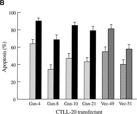 Fig. 1. Effect of overexpression of gelsolin on timing of apoptosis of growth factor-dependent cells induced by cytokine deprivation. / Overexpression of gelsolin did not delay apoptosis of growth factor-dependent cells induced by cytokine deprivation, or prevent its enhancement by jasplakinolide, despite appropriate cleavage. (A) Whole cell lysates (1.25 × 106 cell equivalents) of transfected CTLL-20 cells were separated by SDS-PAGE and immunoblotted for gelsolin and for actin. Serum was used as a positive control. (B) Transfected CTLL-20 cells were incubated for 15 hours in the absence of IL-2 and in the presence of 100 nmol/L jasplakinolide (closed bars) or its vehicle, 0.02% Me2SO (open bars). After incubation, cells were fixed and stained with propidium iodide for quantification of apoptosis by nuclear morphology. Results are representative of 2 independent experiments. (C, D) Whole cell lysates (2 × 106 cell equivalents) of transfected Ba/F3 cells deprived of IL-3 for the indicated periods of time were separated by SDS-PAGE and immunoblotted for human (C) or murine (D) gelsolin. The time-dependent appearance of the 46 kd gelsolin cleavage product is shown. In (D) there was a slight loss of the cell sample at 8 hours. Results are representative of 2 independent experiments. (E) Parallel samples of transfected Ba/F3 cells deprived of IL-3 for the indicated periods of time were fixed and stained with propidium iodide for quantification of apoptosis by nuclear morphology. Closed circles represent Ba/F3 cells that overexpress gelsolin, while open circles represent the vector control. SDs were calculated as described in “Materials and methods.” The slight difference between the 2 cell lines at 8 and 12 hours was not evident by trypan blue exclusion.