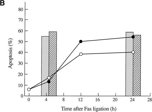 Fig. 4. Gelsolin and caspase-3 were cleaved during apoptosis induced by Fas ligation. / (A) Transfected Jurkat cells were incubated for the indicated period of time with 100 ng/mL CH11 anti-Fas mAb. Immunoblot analysis of whole-cell lysates (1 × 106 cell equivalents) demonstrated overexpression of gelsolin and its cleavage during apoptosis. The gelsolin cleavage product is evident at approximately 46 kd. Results are representative of 4 independent experiments. (B) Parallel samples of transfected Jurkat cells incubated with 100 ng/mL CH11 anti-Fas mAb were assayed for the percentage of cell deaths by trypan blue exclusion (closed circles, cells overexpressing gelsolin, JK-Gsn-22; open circles, vector controls, JK-Vec-33). The percentage of cell deaths of parallel samples was confirmed by staining with Annexin V-FITC (solid bars, JK-Gsn-22; hatched bars, JK-Vec-33). (C) Transfected Jurkat cells were treated with anti-Fas mAb 100 ng/mL CH11 for the indicated periods of time. Immunoblot analysis of postnuclear lysates (1 × 106 cell equivalents) demonstrated cleavage of caspase-3; one of the fragments of caspase-3 generated during apoptosis is evident at approximately 17 kd. Results are representative of 3 independent experiments.