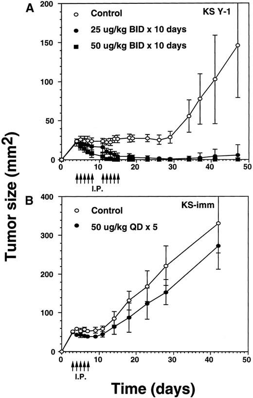Fig. 4. Regression of AIDS-KS tumors by intraperitoneal injections of IL-13 toxin. / (A) Nude mice were implanted subcutaneously with approximately 30 mg of KS Y-1 tumor mass on day 0. The animals then received injections twice a day with IL-13 toxin on day 4 through 8. The control mice received excipient only. The second cycle of injections was given on day 11 through 15. Each group had 6 animals. (B) KS-imm cells (2 × 106/50 μL) mixed with 100 μL of Matrigel were implanted on day 0 and 5 daily injections began on day 3. The control and treatment groups had 7 and 6 mice, respectively. The arrows indicate the day of injections.