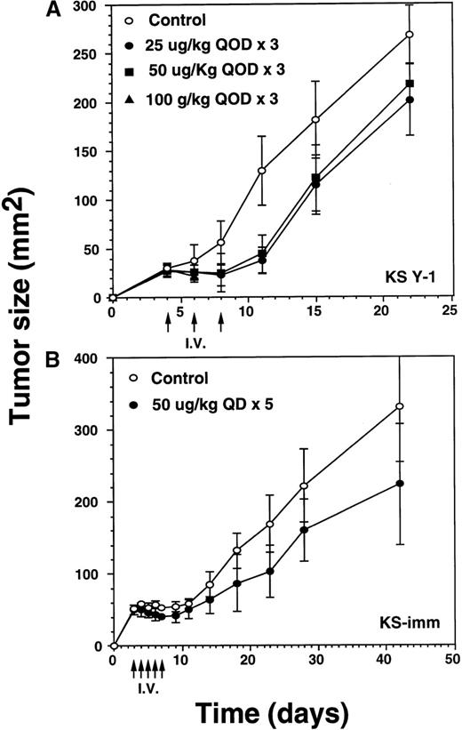 Fig. 5. Regression of AIDS-KS tumor growth by intravenous injection of IL-13 toxin. / (A) After implanting KS Y-1 tumors (approximately 20 mg) at day 0, the xenografts received 3 injections of IL-13 toxin in 200 μL in the tail vein on day 4, 6, and 8. In the 100 μg/kg dose group, all 6 mice died by day 11. (B) The KS-imm xenografts were given 5 daily injections of 50 μg/kg of IL-13 toxin on day 3 through 7. The arrows indicate the days of injections.