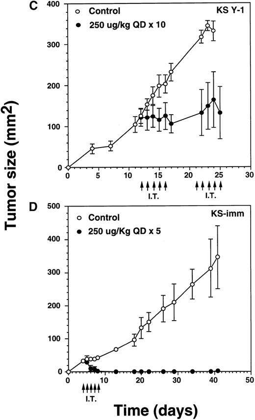 Fig. 6. Complete regression of AIDS-KS tumors by intratumoral administration of IL-13 toxin. / The nude mice (n = 4 per group) with established KS Y-1 tumors received 30 μL of IL-13 toxin (A) slowly into all quadrants of tumor (7.5 μL per quadrant) by 26-guage syringe on day 4, 6, and 8. The control animals received excipient only. One animal died on day 6 in the 250 μg/kg dose group. (B) The similar doses as of Figure 6a, but with a schedule of daily injections were administered on day 4 through 8. Because some mice in the treatment groups obtained CR, the error bars in mean tumor size were large and are not shown. The mean values for 0, 50, and 100 μg/kg doses were 345 ± 91, 179 ± 72, and 25 ± 5, respectively, on day 36. The arrows point to the days of treatments. (C) Large KS Y-1 tumors were injected with 2 cycles of 5 injections of IL-13 toxin as shown by arrows on the x-axis. Each group had 7 mice. (D) Established KS-imm xenografts received 5 daily injections of IL-13 toxin beginning on day 4.