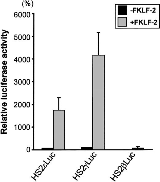 Fig. 3. Trans-activation of ɛ and γ and β globin gene promoters by FKLF-2. / Reporter constructs containing a luciferase gene driven by HS2 and ε, γ, or β gene promoter were transfected into K562 cells with or without pSG5/FKLF-2. Luciferase activities were corrected by protein concentrations, and expressed as relative percentages of luciferase activity of pHS2γLuc that were not cotransfected by pSG5/FKLF-2 (100%). Protein concentration was used to correct the transfection efficiency, because in our preliminary experiments we could not rule out that FKLF-2 does not activate the SV-40 promoter/enhancer of the pSVβ-Gal control plasmid.3 Data are expressed as mean (columns) ± SD (error bars) derived from multiple transfections using 2 different plasmid sets.