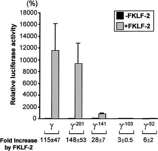 Fig. 5. Effect of truncation deletions of γ gene promoter on FKLF-2 activity. / Reporter constructs containing a luciferase gene driven by various γ gene promoters depicted in Figure 4 were tested in K562 cells. Luciferase activities were expressed as relative percentages of luciferase activity of pγLuc that were not cotransfected by pSG5/FKLF-2 (100%). Fold increases (expressed as mean ± SD) of luciferase activities by FKLF-2 compared with those in the absence of the transactivator are shown below.
