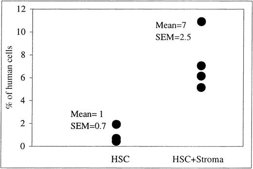 Fig. 6. FACS analysis on PB at 169 weeks after transplantation. / The PB was obtained at intervals from sheep transplanted in utero with HSC alone (n = 3) or in combination with allogeneic human stromal cells (n = 4). This scatter plot shows the levels of human CD45+ cells in the PB of each of these sheep at 169 weeks after transplantation as well as the mean percentage of human cells present ± 1 SEM for each experimental group as a whole.