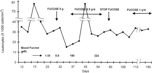 Leukocyte count during fucose administration in an infant with LAD II.
