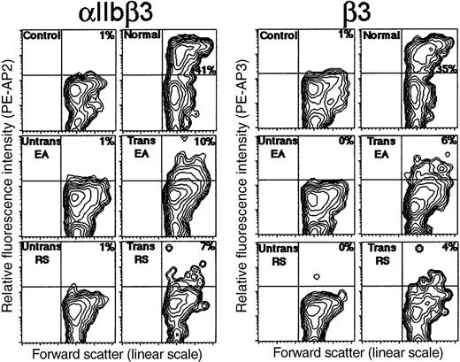 Fig. 3. Flow cytometric analysis following −889PlA2β3 transduction of thrombasthenic CD34+ cells. / Untransduced and transduced cells were induced to form megakaryocytes for 9 days ex vivo, and then examined by flow cytometric analysis for surface expression of the β3 subunit. Shown in the first set of panels are megakaryocytes expressing αIIbβ3 as detected with complex-specific antibody AP2 and a PE-conjugated F(ab′)2 donkey antimouse secondary antibody. The second set of panels are cells expressing the β3 subunit as detected with monoclonal antibody, AP3, and secondary antibody. Fluorescence contour plots are presented for normal nonthrombasthenic cells (upper right), untransduced and transduced cells from EAY115Cβ3 (middle panels), and untransduced and transduced cells from RSΔ9β3 (lower panels). The x-axis depicts cell size as measured with forward scatter on a linear scale, and the y-axis is relative fluorescence intensity of PE-AP2 or PE-AP3. Megakaryocytes that expressed αIIbβ3 on the cell surface were detected in the upper right quadrant as were cells that expressed β3. Normal and patient cells incubated with an isotype nonspecific antibody and secondary antibody were presented as controls for background staining (upper left panels).
