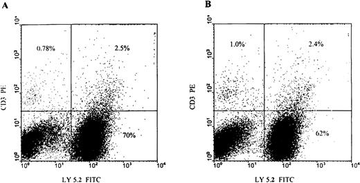 Fig. 2. Flow cytometry analyses of BM cells after serial transplantation. / Lethally irradiated Ly5.1 primary recipient animals received either wild-type or transgene Ly5.2 donor cells (2-4 × 106unfractionated BM cells). After 6 to 8 weeks, BM was harvested from the recipient animals, stained with fluorochrome-labeled antibodies as shown, and analyzed by flow cytometry to determine their origin (donor or endogenous). Secondary recipients received BM from several of these primary recipient animals. Tertiary transplants were performed in a similar fashion after 6 to 8 weeks of engraftment in secondary recipients. All recipient animals received epo supplementation for a period of 2 weeks after BM transplant. Shown is a representative sample of the BM from wild-type (A) and transgene donor (B) transplanted secondary recipients analyzed by flow cytometry. Note the presence in the recipient animals of both donor (right upper quadrant) and recipient (left upper quadrant) T cells and donor and recipient myeloid/B cells (right lower quadrant and left lower quadrant, respectively) present in the recipient animals.